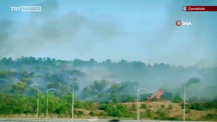 Çanakkale'de zirai alanda yangın çıktı