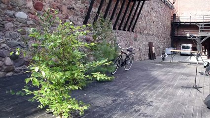 Sygnalistki na konkursie sygnałów myśliwskich w Bytowie