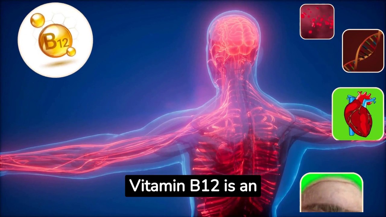 10 Best Vitamin B12 Rich Foods