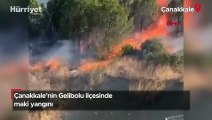 Çanakkale Gelibolu'da maki yangını