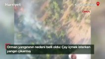 Kahramanmaraş'taki orman yangınının nedeni belli oldu