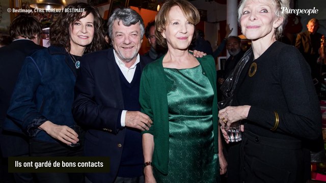 Nathalie Baye : Cette romance secrète avec un homme politique qui avait réussi à faire interdire des photos de leur couple