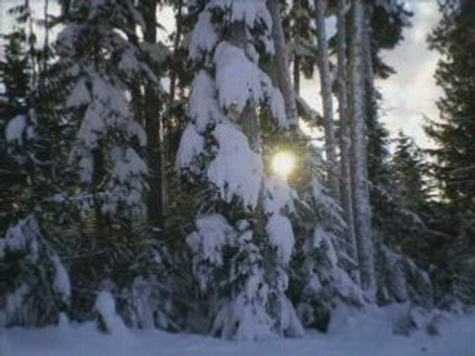 Ski Vancouver, Whistler, Cypress by night, fresh powder