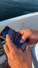 Marseille : "Sans nous, il y aurait eu 3 morts", des plongeurs ont secouru les victimes de l'accident de bateaux