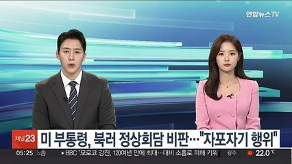 미 부통령, 북러 정상회담 비판…"자포자기 행위"