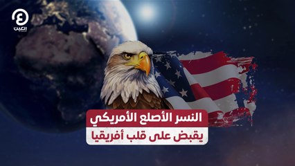النسر الأصلع الأمريكي يقبض على قلب أفريقيا