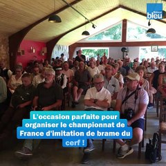 Le championnat de France d'imitation de brame du cerf en Moselle