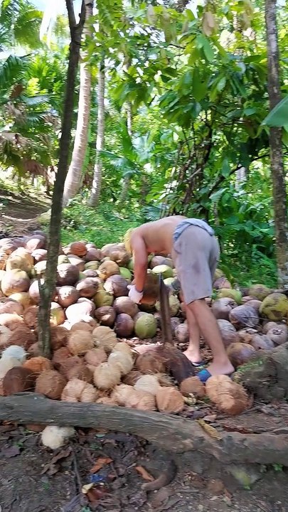 Kopra challenge
