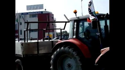 Quote latte, la protesta degli allevatori Cobas
