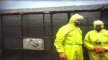 Seveso ‘76, video inedito a pochi giorni dal disastro