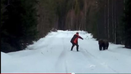 Lo svedese (coraggioso) che spaventa l’orso con un ruggito