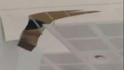 Malpensa, crolla il controsoffitto