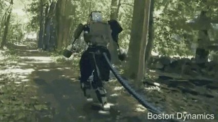 Il robot umanoide di Alphabet esce e   corre nel bosco
