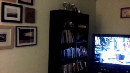 Giappone: il terremoto ripreso da una coppia