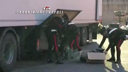 Pompei, marijuana nel carico di fiori dall’Olanda