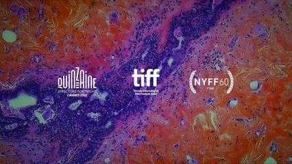 De humani corporis fabrica Bande-annonce (EN)