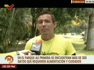 Animalistas denuncian el abandono criminal y cruel de felinos en el Parque Alí Primera