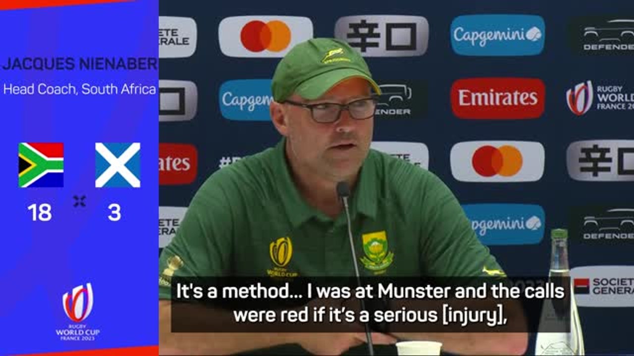 Nienaber denies Springboks traffic light system is tactical