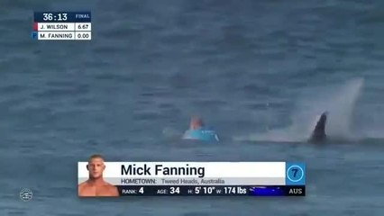 Sudafrica: surfista attaccato da squalo si salva prendendolo a calci e pugni