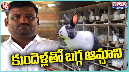 Young Man Making Profits By Farming And Breeding Rabbits | V6 Weekend Teenmaar