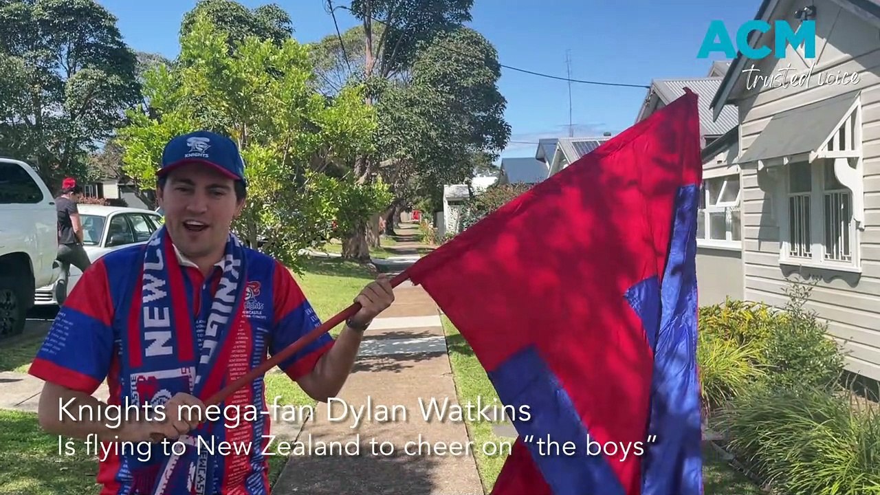 Newcastle Knights fan Dylan Watkins is off to New Zealand - Newcastle Herald