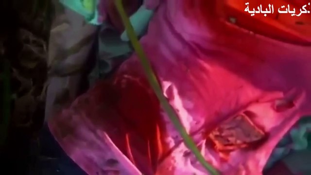 سلسلة تحقيقات الجرائم القتل - جرائم