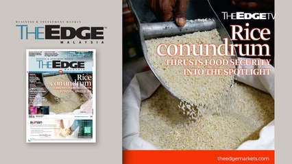 EDGE WEEKLY: Rice conundrum thrusts food security into the spotlight