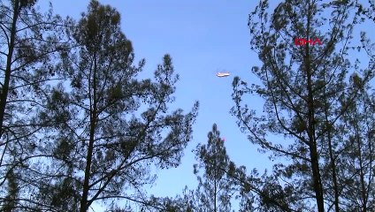 Alanya'da devam eden orman yangınında 17 evin çevresi tamamen yandı