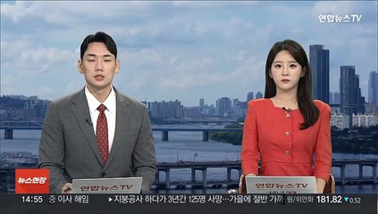 방사청, '북한 장사정포 갱도 파괴' 전술지대지유도무기 개발