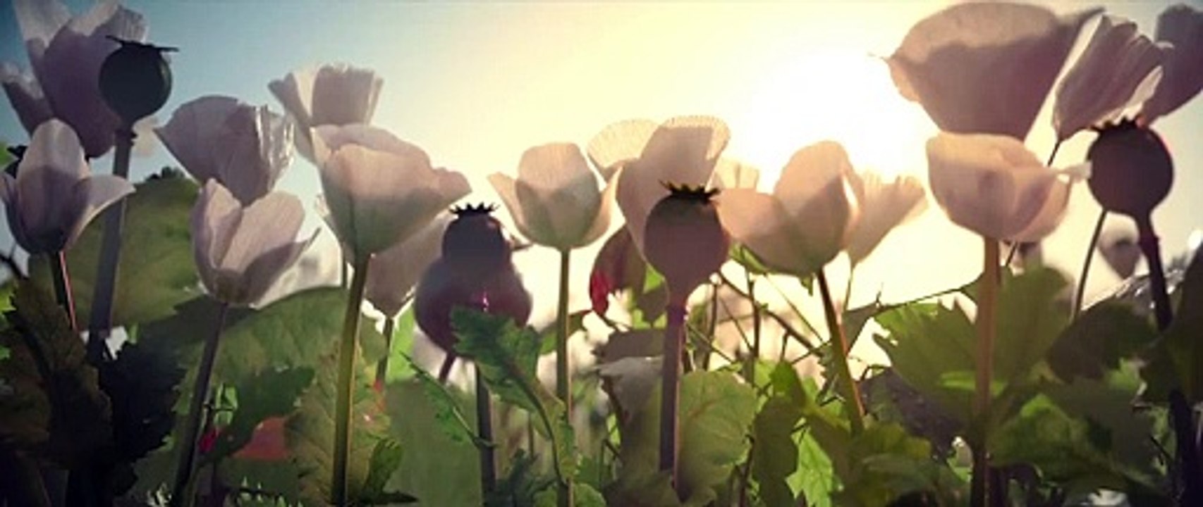 Guns And Gulaabs S01 E01  001