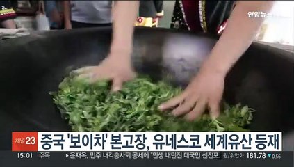 중국 '보이차' 본고장, 유네스코 세계유산에 등재