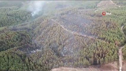 İzmir'deki orman yangınına havadan ve karadan müdahale