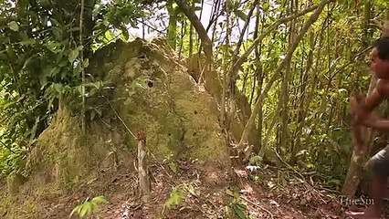 Dig Termite mound to Building Underground House