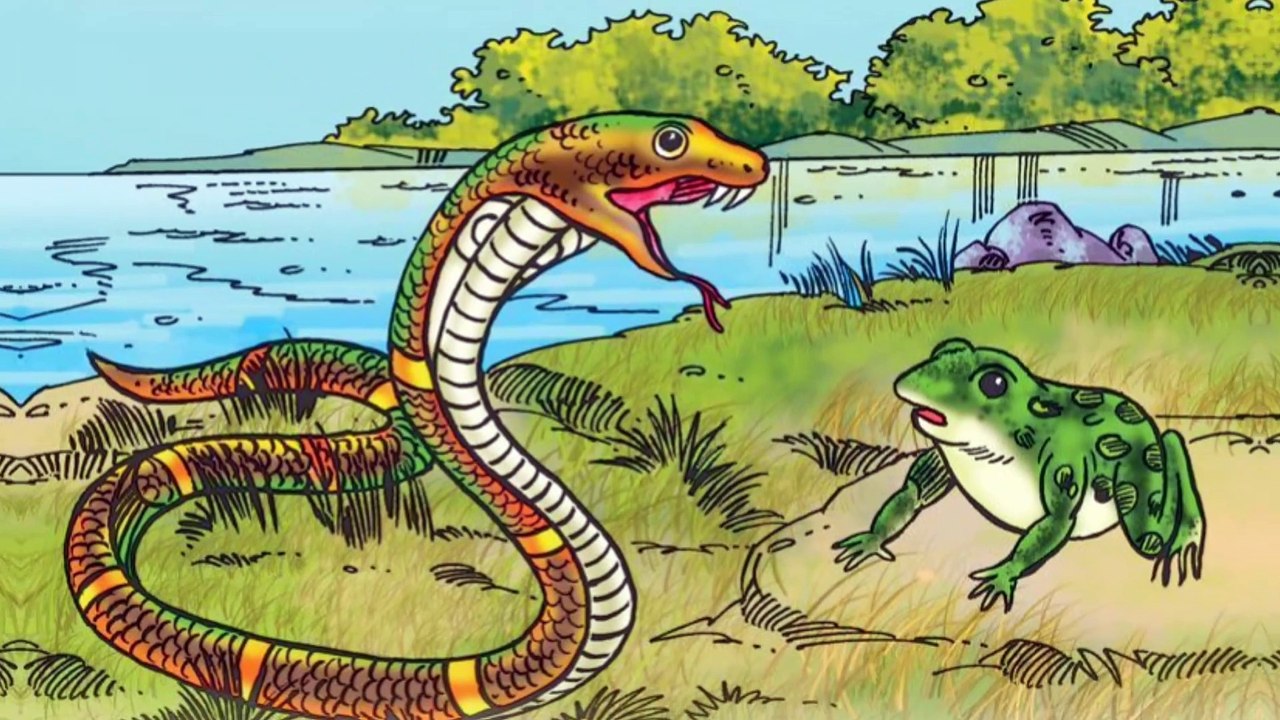 मेंढक और सांप // Frog and snake story #Video #story #moralstory