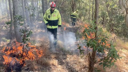 Forster HR burn / 16.8.2023 / Great Lakes Advocate
