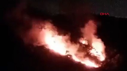 İSTANBUL-PENDİK'TE ORMAN YANGINI-1