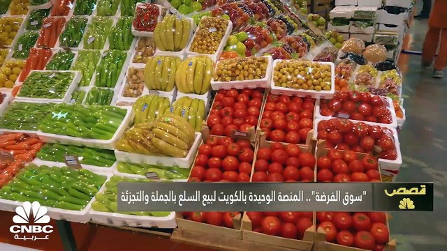 ما هي أهم استثمارات الدول العربية؟ وكيف يبدو مشهد العودة للمدارس في هذه الدول؟