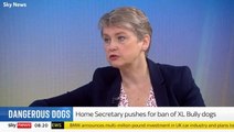 XL bully dog attack: Yvette Cooper calls for government to take ‘stronger action’