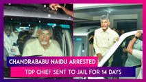 Chandrababu Naidu Arrested: TDP Chief Sent To 14-Day Judicial Custody Till September 22