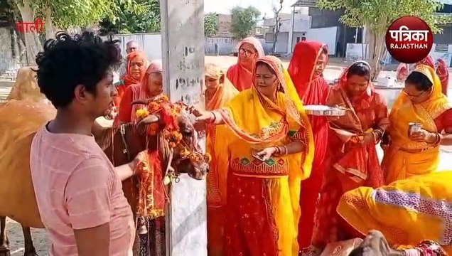 Bach Baras 2023: यहां महिलाओं ने किया गौ माता का पूजन, बेटों को ​खिलाए लड्डू