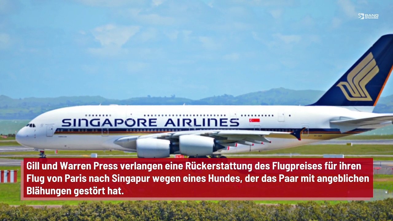 Ehepaar verklagt Fluggesellschaft wegen eines furzenden Hundes, der einen 13-stündigen Flug ruinierte