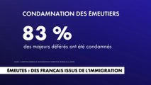 Emeutes : une majorité de Français issus de l'immigration