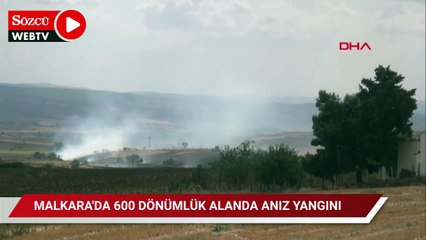 Malkara'da 600 dönümlük alanda anız yangını