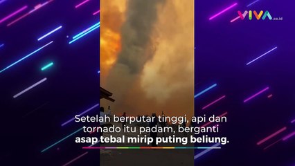 Tornado Api Muncul di TNBTS Bromo, Flora-Fauna Terancam!