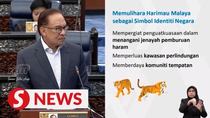 12MP review: Big boost for tiger conservation
