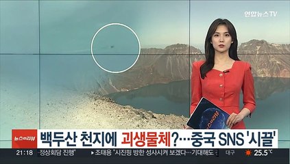 백두산 천지에 괴생물체?…중국 SNS '시끌'
