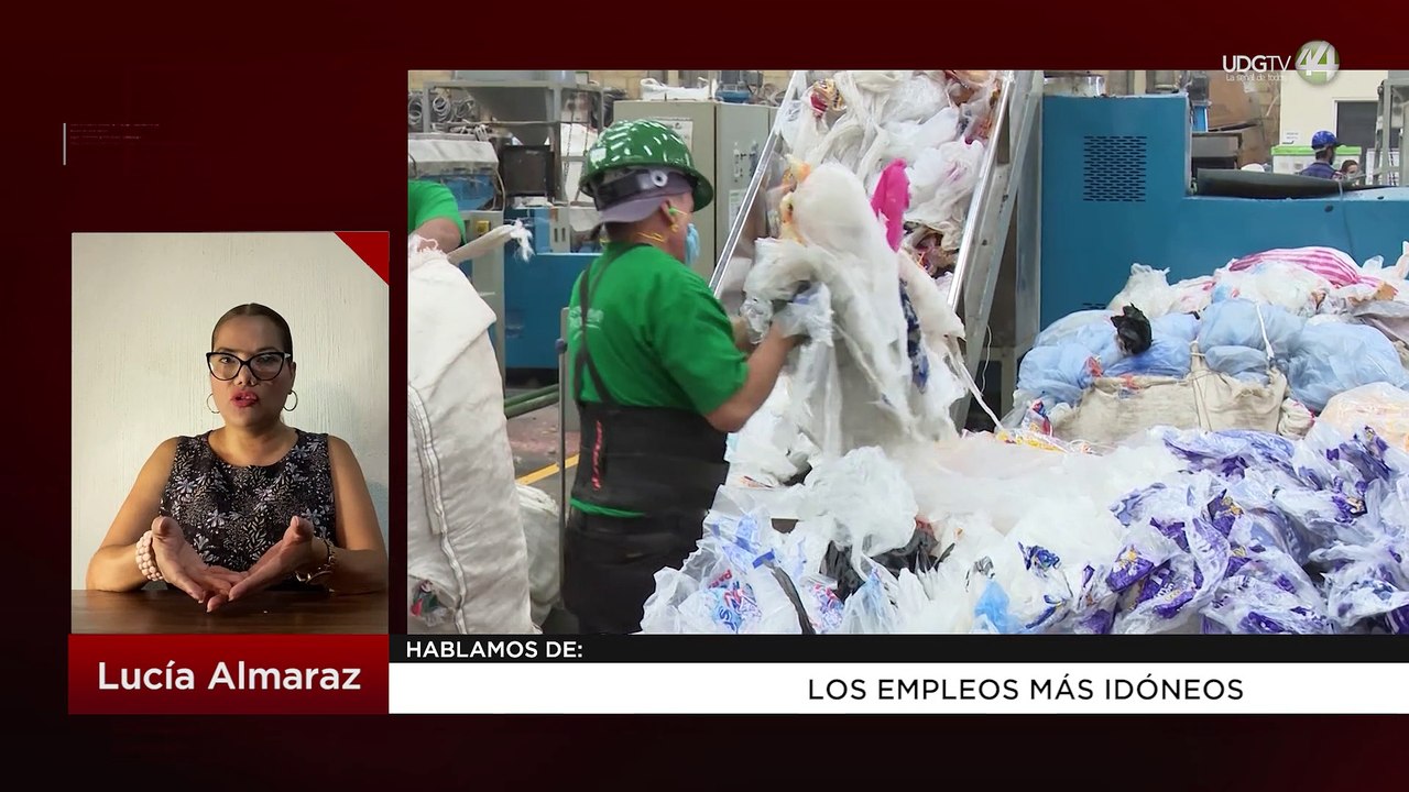 Los empleos más idóneos: Lucía Almaraz