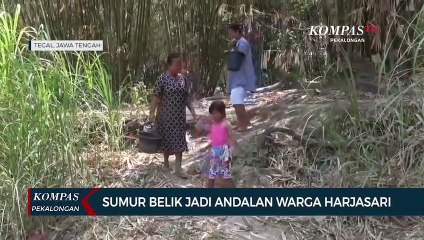 Descargar video: Warga Tegal Gali Belik di Sungai Kering, Krisis Air Bersih Akibat Kemarau