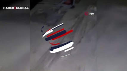 Dışarıda bırakılan balık iğnesi ağzına batan köpek acı içinde kıvrandı! Kurtarılma anı kamerada