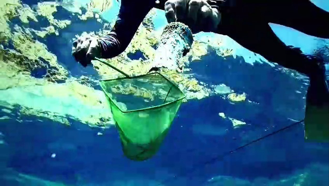 Trashed Bande-annonce (RU)